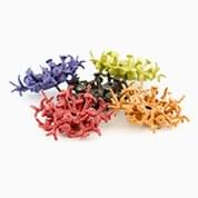 Coral Polyp by Michaella Janse van Vuuren