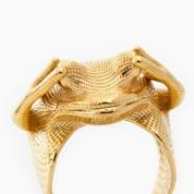 Frog Ring by Peter Donders