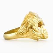 Skull Ring   Born to Ride by Ziggy Hentze   ZeroGrafx   Namibia