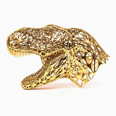 3D-Rex by Octavio Asensio