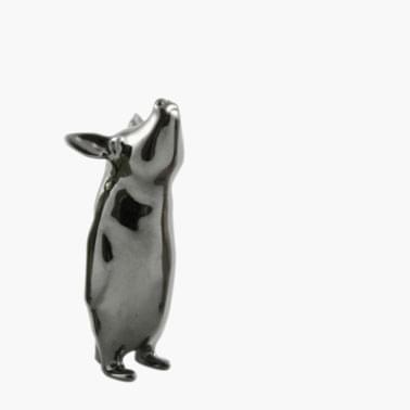 Piguin by Bert De Niel