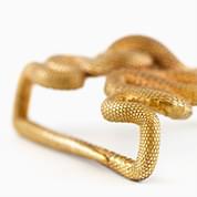 Serpents Buckle by Michael Mueller