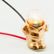 Bulbman by Bert De Niel