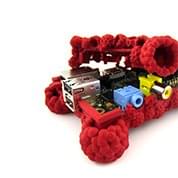 Raspberries for Everyone by Cody Reisdorf