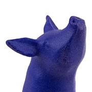 Piguin by Bert De Niel - Polyamide (SLS) Polished and Dyed  Blue