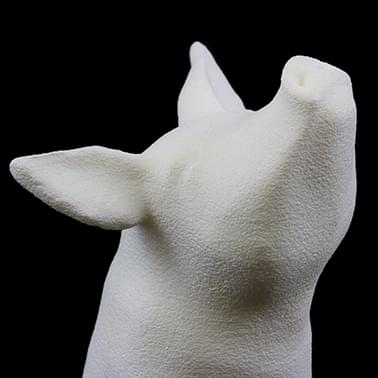 Piguin by Bert De Niel - Polyamide (SLS) Spray Painted White