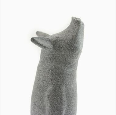 Piguin by Bert De Niel