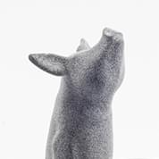 Piguin by Bert De Niel