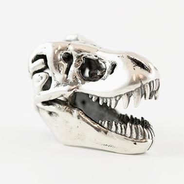T-Rex Skull by Bert De Niel