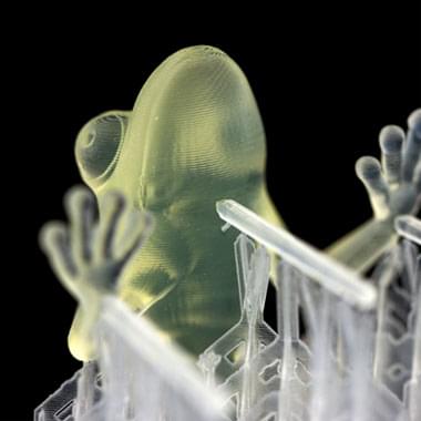 Frog by Autodesk