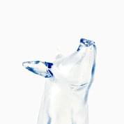 Piguin by Bert De Niel