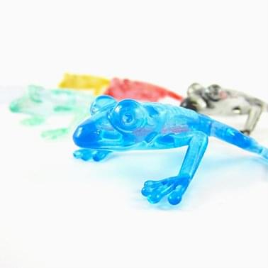 Frogs by Bert De Niel