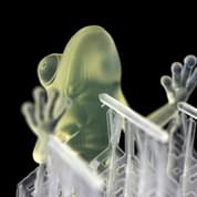 Frog by Autodesk with support